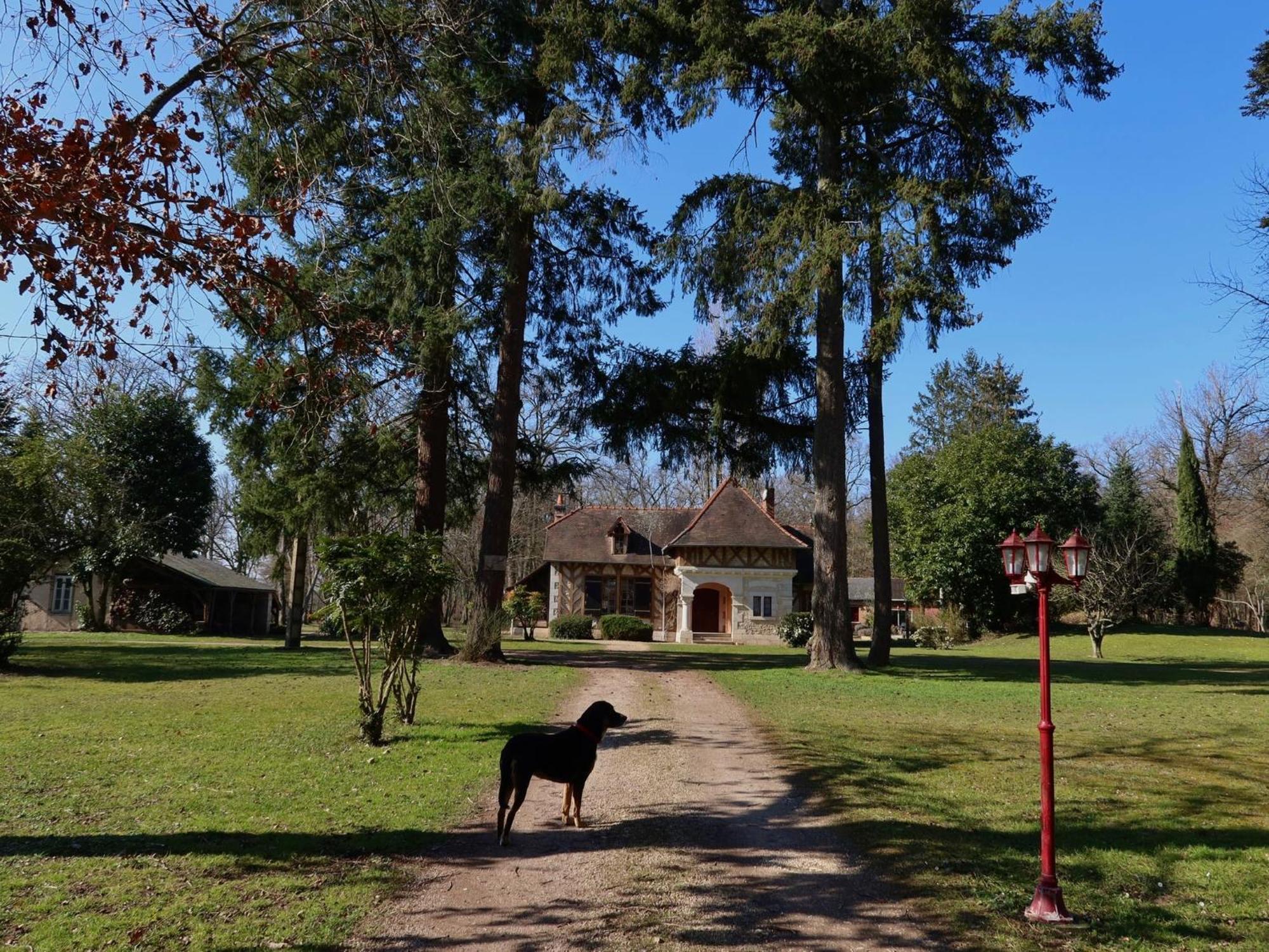 La Faisanderie Saint-Florent-sur-Cher Exterior foto